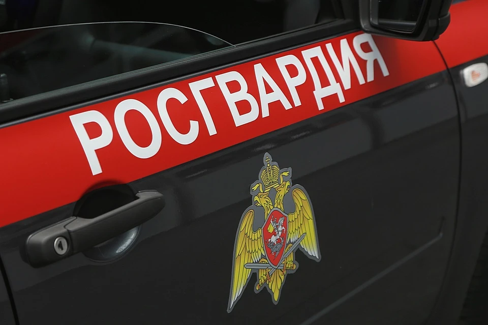 ТОП-10 самых глупых преступлений, совершенных в Хакасии