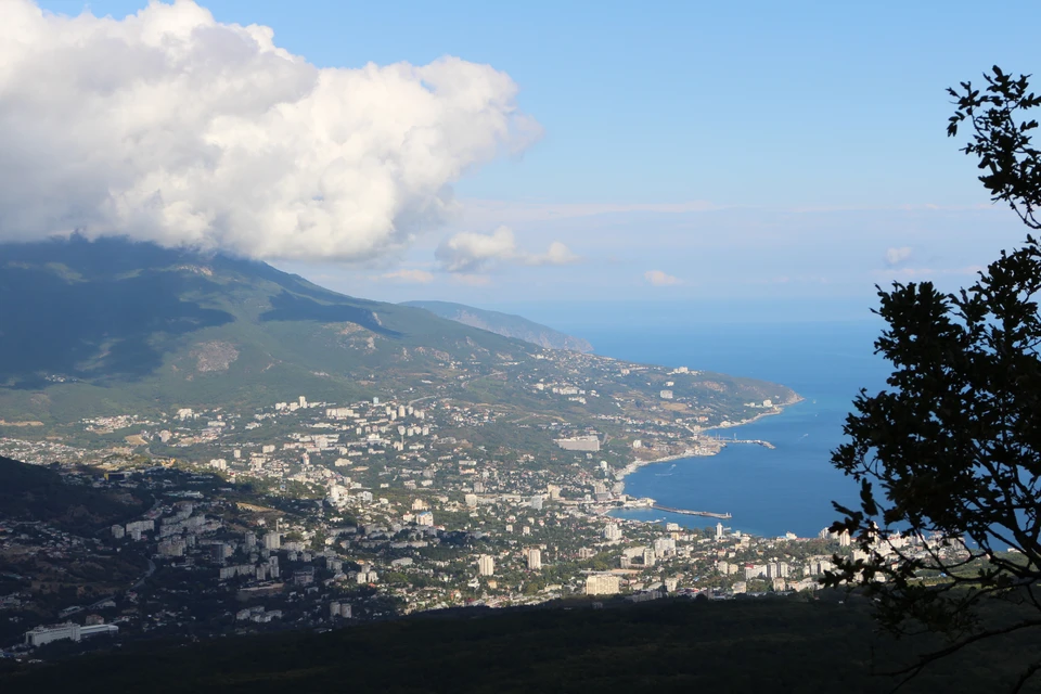 В Крыму, особенно на ЮБК земля в большой цене.