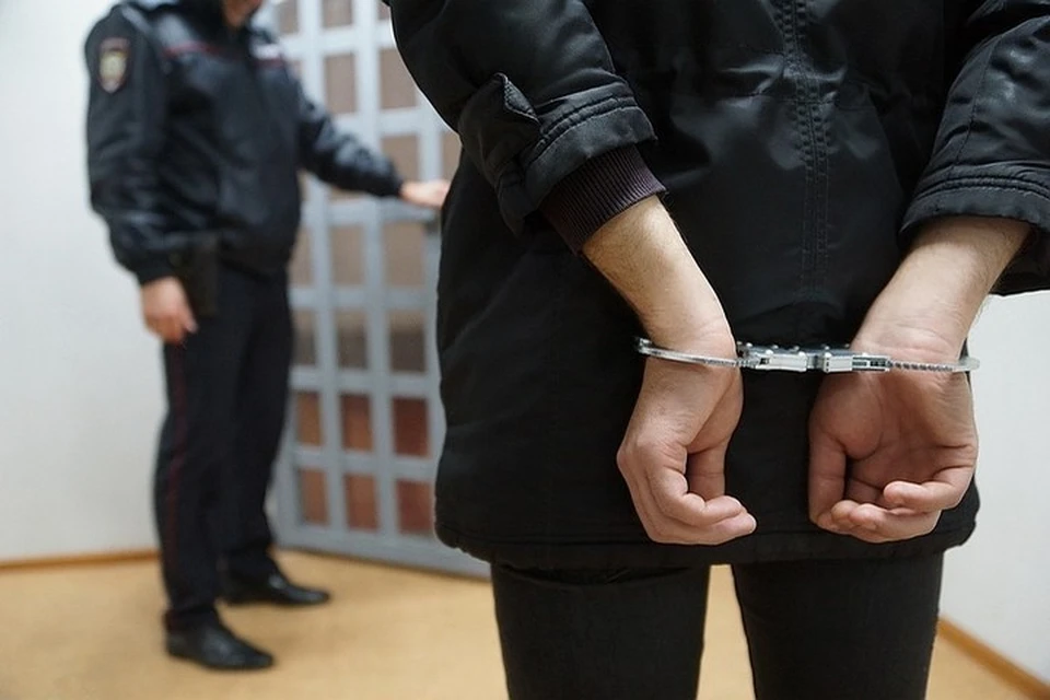 Его приговорили к 1 году лишения свободы.