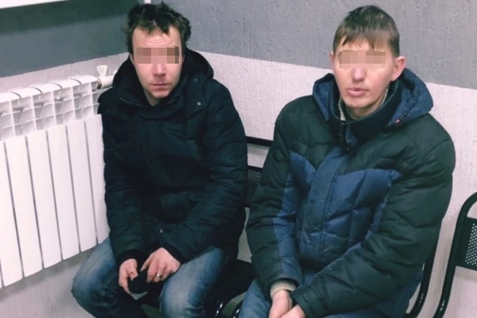 Иногда даже кишечник стоит на страже порядка. Фото: vk.com/dorinspb