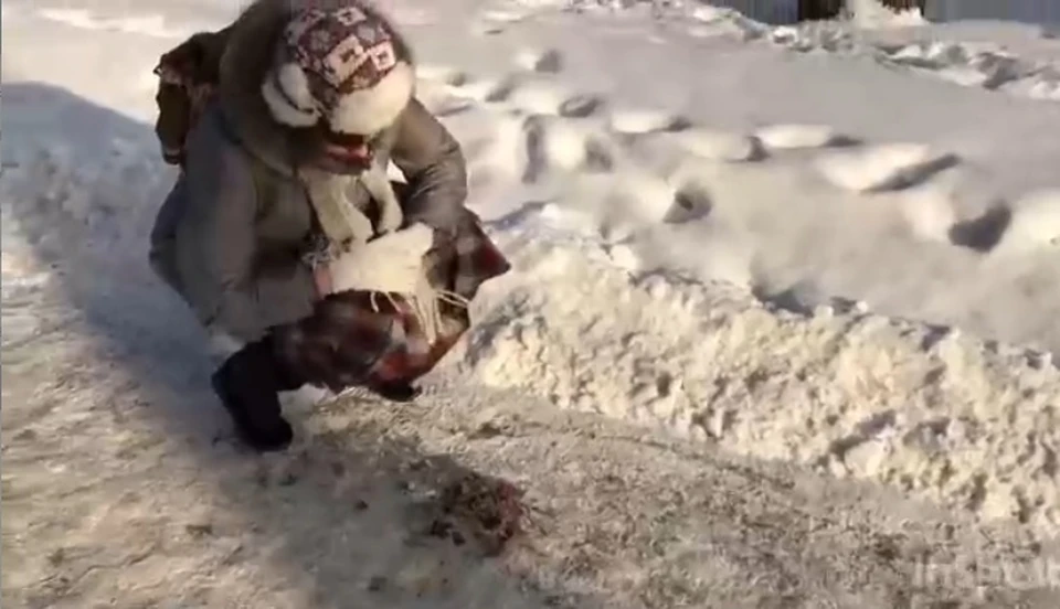 Фото: скриншот видео
