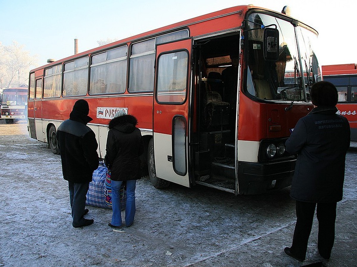 Автобусы Барнаул-Шерегеш запускают с 10 февраля - KP.RU