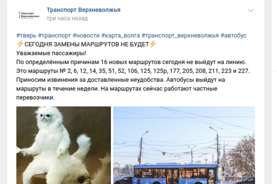 В предполагаемый день реализации второго этапа реформирования транспорта Твери, новые автобусы на улицы не вышли. Фото: скриншот vk.com/transportverhnevoljia