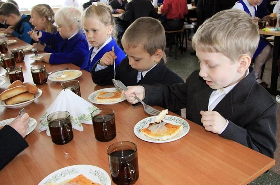 Для детей младших классов в России введут бесплатное школьное питание