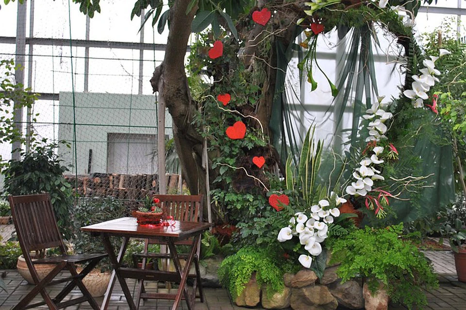Романтические фотозоны в ботаническом саду. Фото: Донецкий ботанический сад