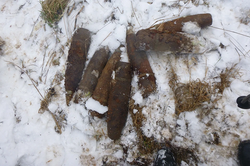 В Тверской области обезвредили снаряды ремен войны