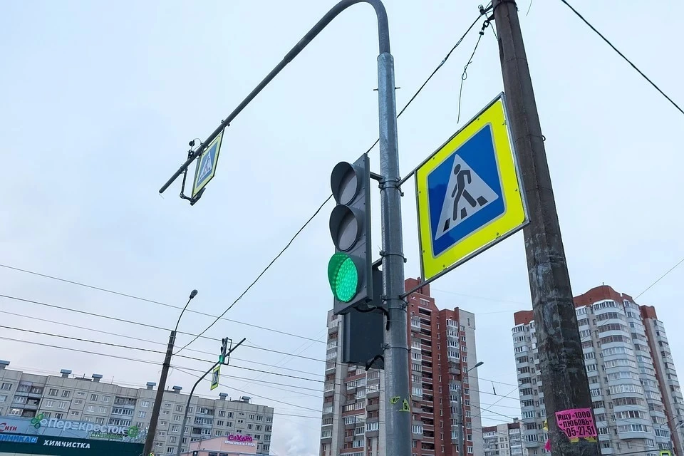 В России могут появиться умные светофоры, которые снизят аварийность с участием пешеходов