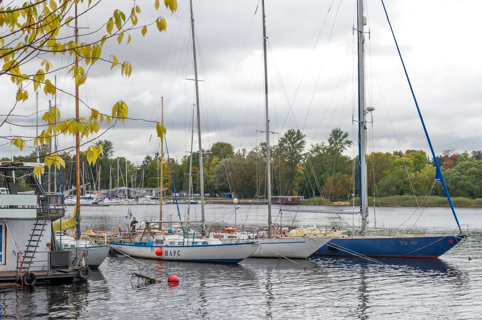 Депутаты хотят уточнить территорию будущей зеленой зоны яхт-клуба, защищенной от застройки.