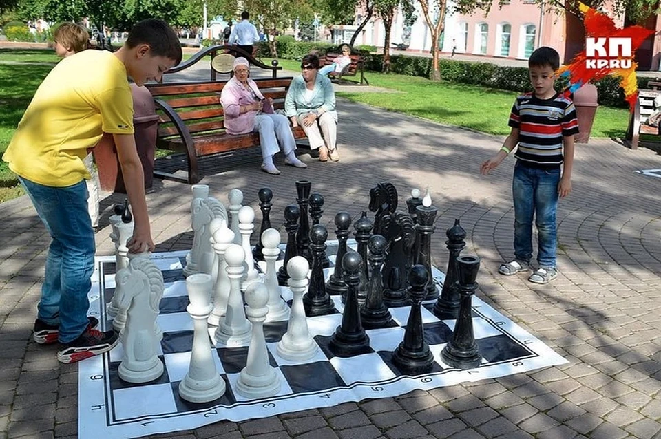 Шахматы