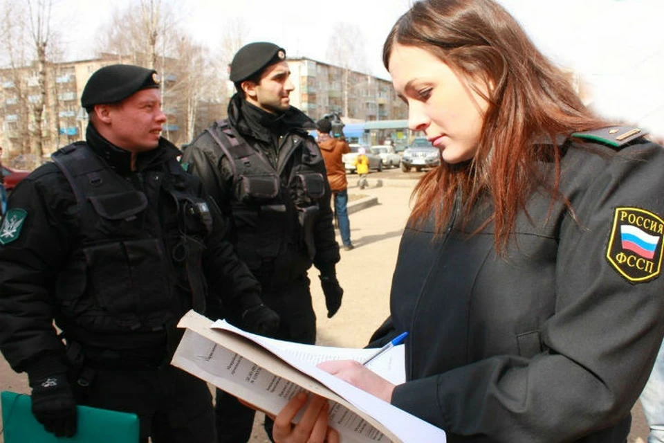 Общая площадь земель, расположенных в Пошехонском районе, составила 383 000 квадратных метров. ФОТО: УФССП по Ярославской области