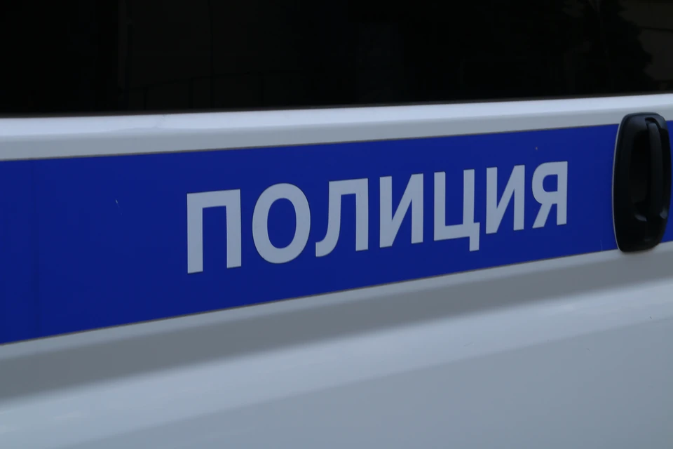 Подозреваемого задержали и отправили в СИЗО.