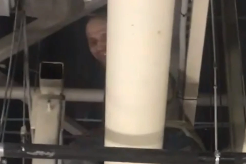 "Человек-паук" из Дыбенко скрывать обворожительную улыбку под маской не стал. Фото: vk.com/kudrovolife