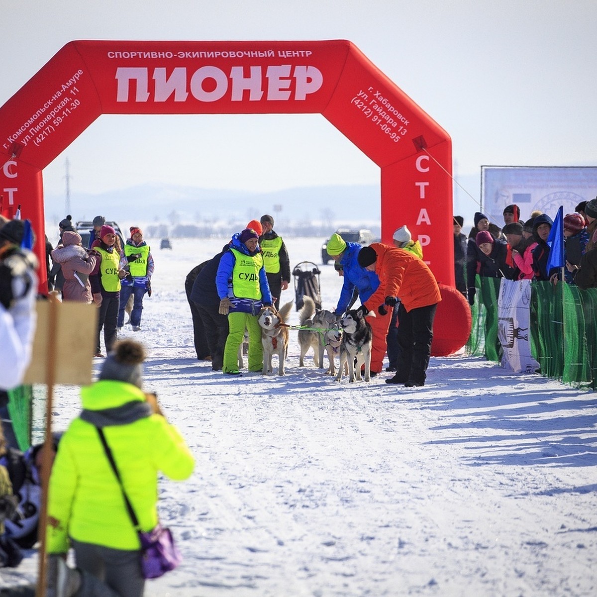 Чемпионат по ездовым видам спорта в Комсомольске-на-Амуре - KP.RU