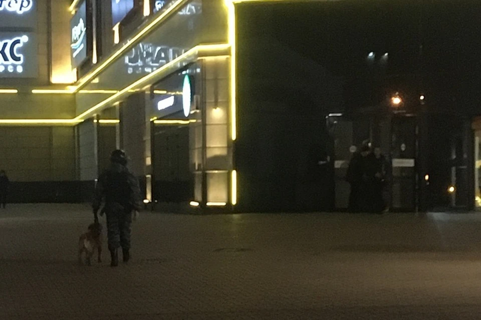 К ТЦ приехали сотрудники МЧС, полиции, а также кинологи с собаками. Фото: "Подслушано в Ярославле"\vk.com.