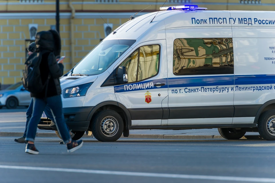 Петербургского библиотека ограбили двое парней, притворившись ремонтниками