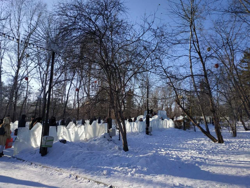 Санитарные рубки в краевой столице проводят ежегодно, а обещанная «пышность и кудрявость» все не появляется.