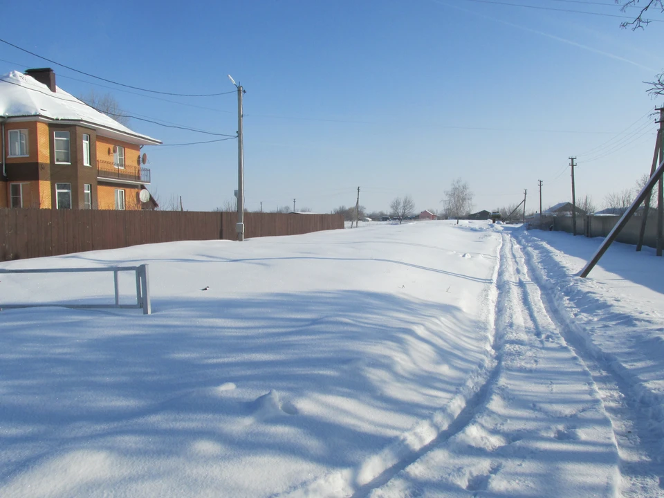 Воронежцы в этом году по-настоящему зимы и не видели...