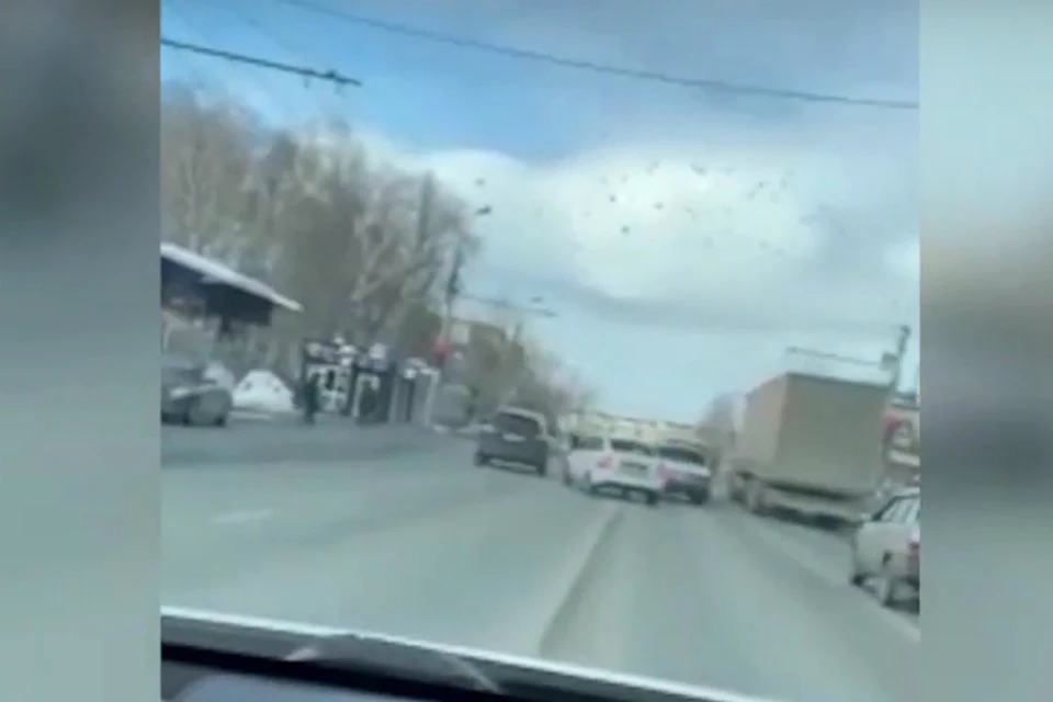 Фото: скриншот с видео (УМВД России по Омской области)