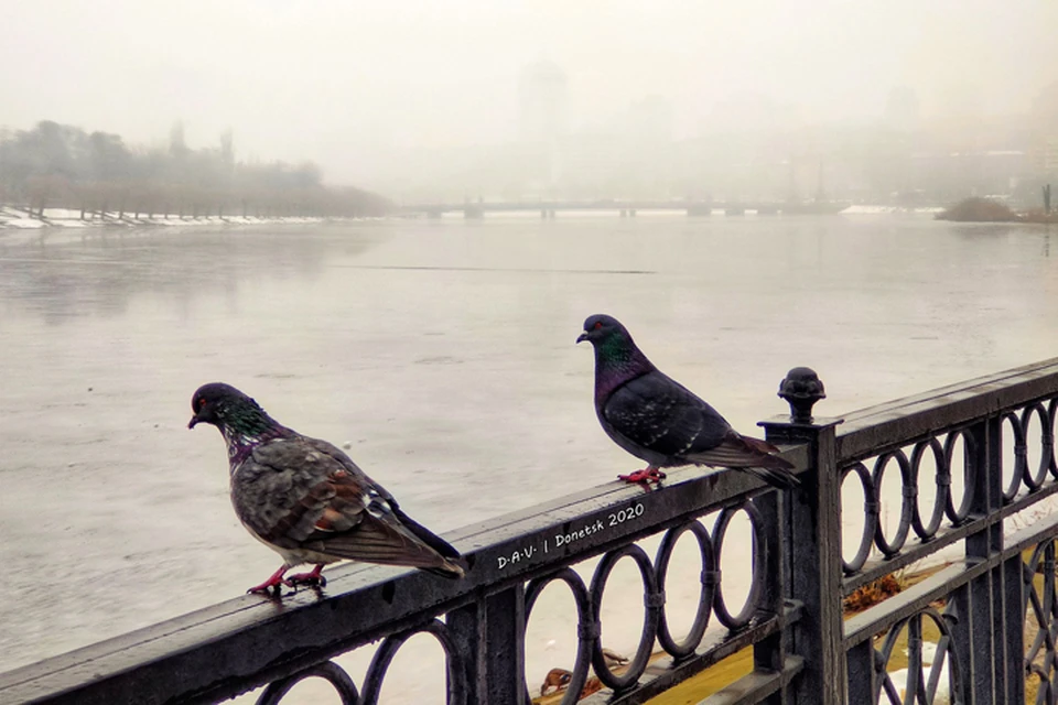 Февральский дождь в Донецке. ФОто: Александр Валентинович