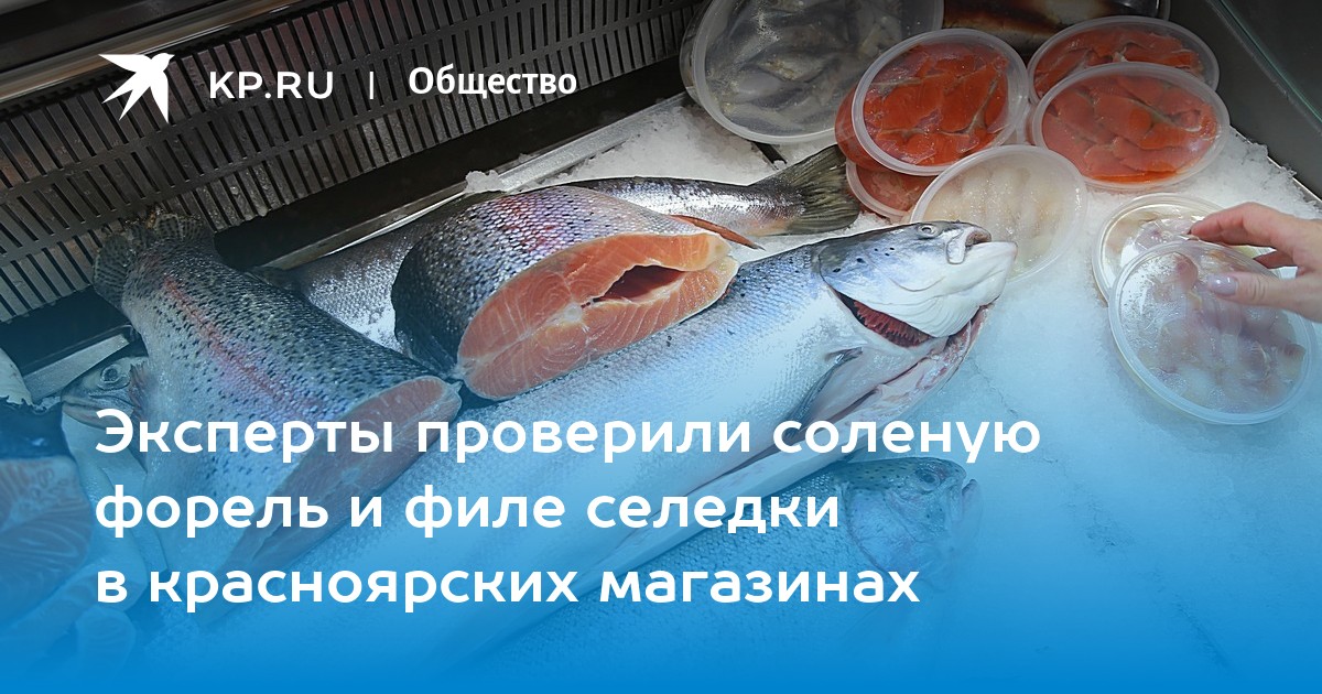 Форель соленая можно заморозить. Оценка качества мороженой рыбы. Мороженная рыба в рознице. Качество замороженной рыбы в Ритейл.