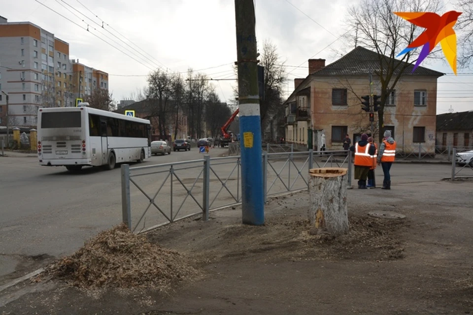 Дерево срубили на перекрестке с проспектом Станке Димитрова.