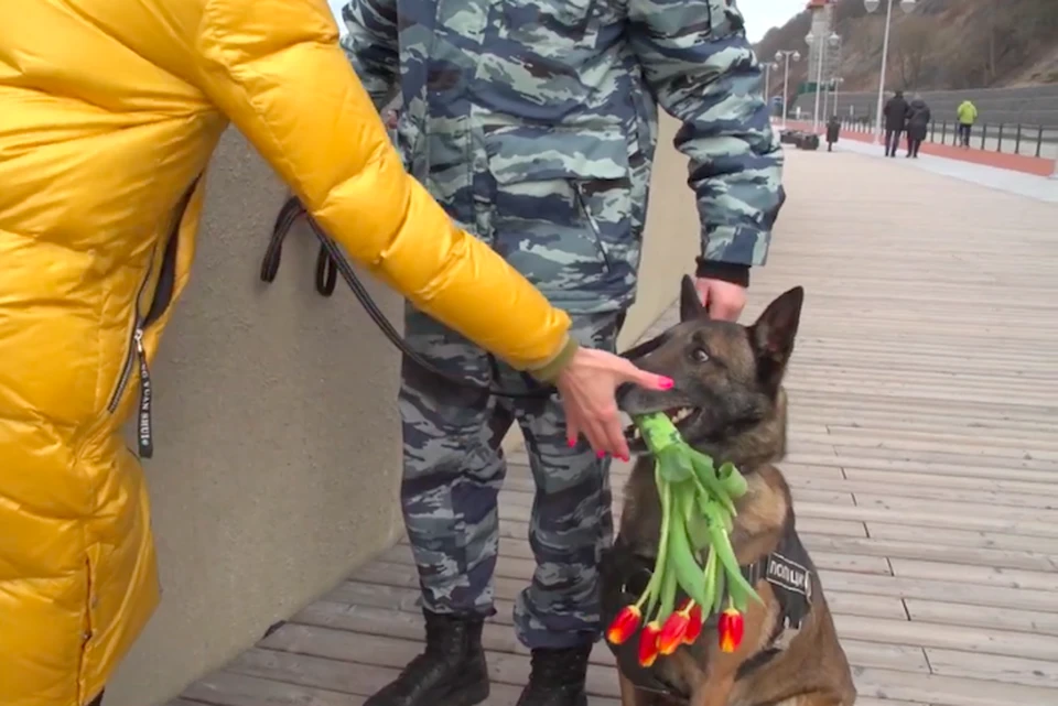 Собаки вручали калининградкам букеты тюльпанов
