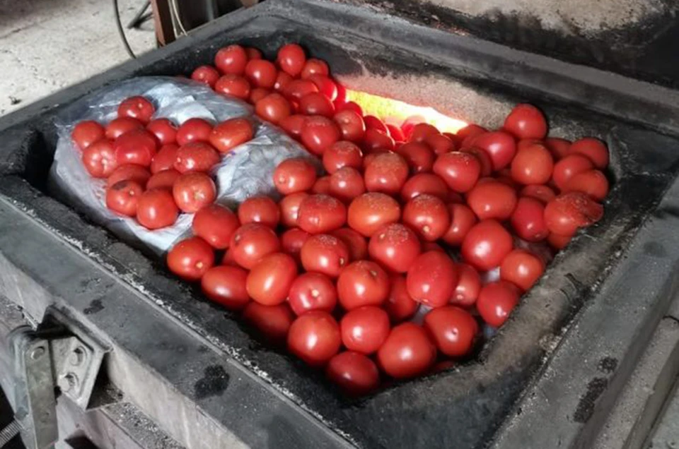 Почти 200 кг винограда и томатов уничтожили в Твери Фото: Управление Россельхознадзора по Тверской области