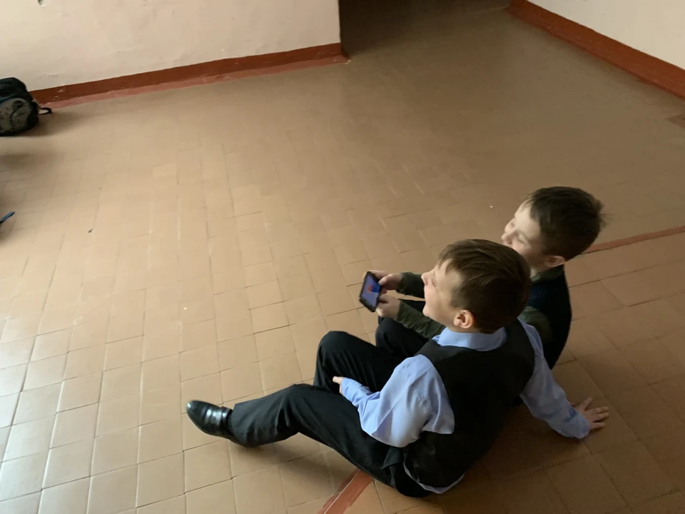 Школьники будут растить бархатцы.