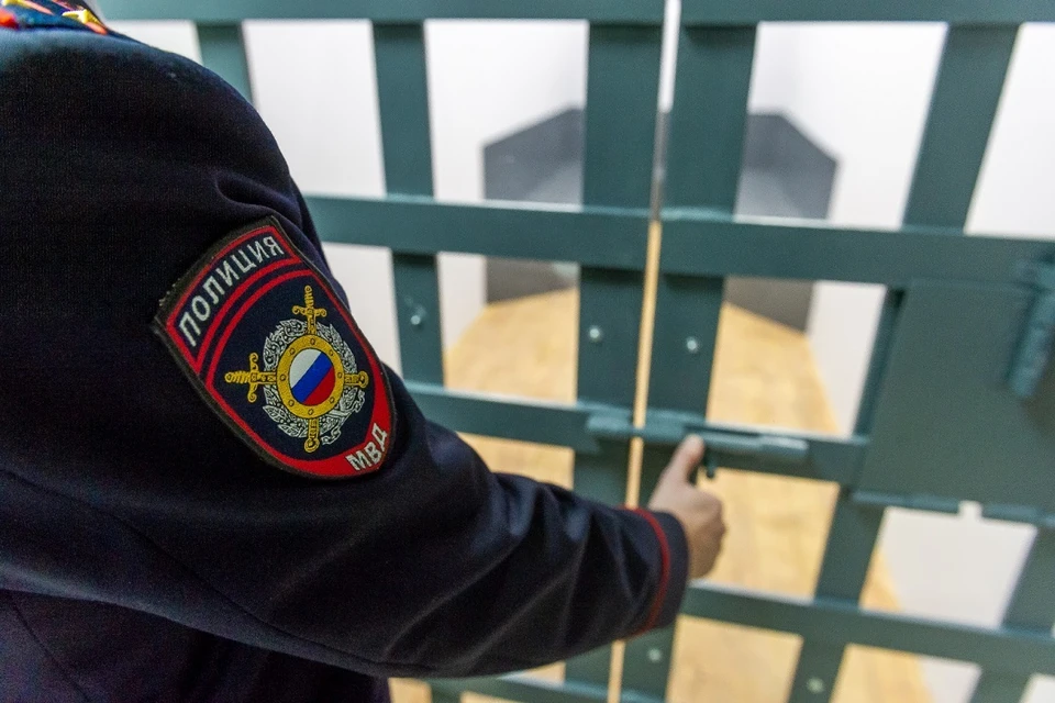 Закладчику грозит пожизненный срок