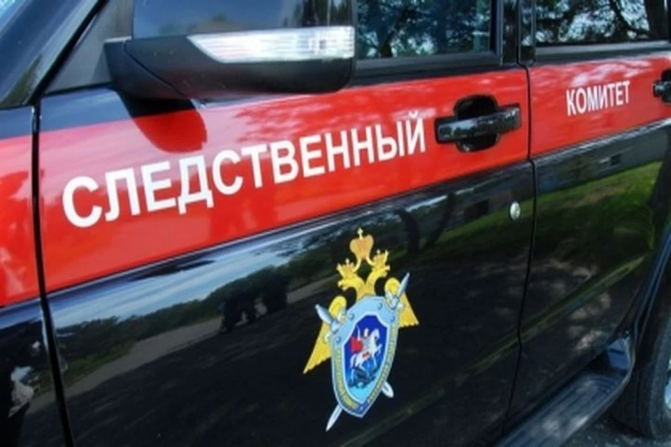 В Новосибирске задержали предполагаемого убийцу мужчины в лЕнинском районе. Фото: СК по Новосибирской области
