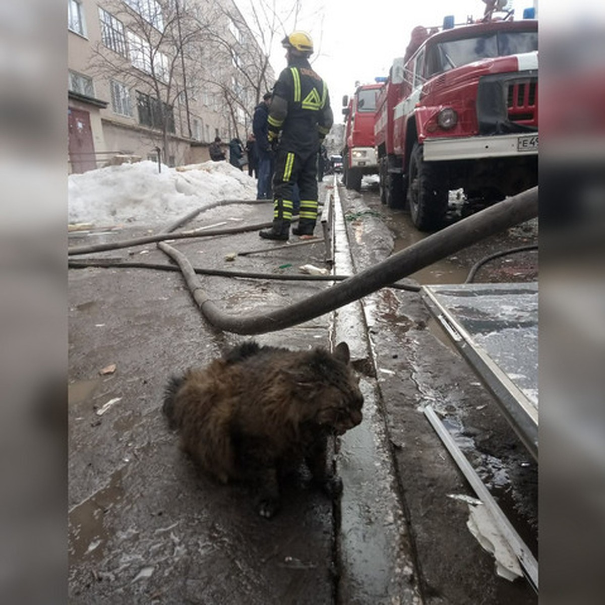 Хлопок был такой, что я подпрыгнула». Что говорят жильцы дома, где  взорвался газ - KP.RU