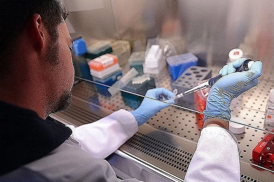 ВОЗ рассказала о получении для изучения 40 тестов на коронавирус, а также 20 вакцин, которые находятся в разработке