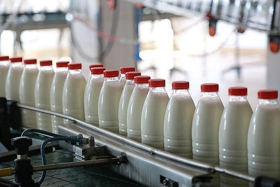 Ни в одном молоке специалисты не нашли фальсификаций: растительных жиров, сухого молока или снижения жирности