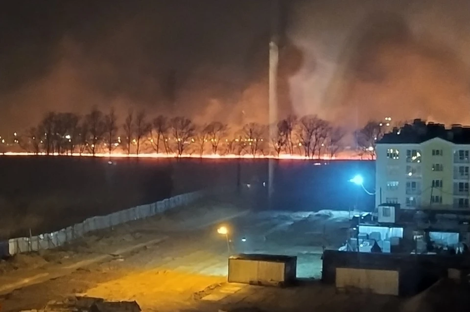 Жители Пушкина сообщают, что неизвестные подожгли поля рядом с улицами Архитектора Данини и Гумилевской. Фото: СОЦСЕТИ