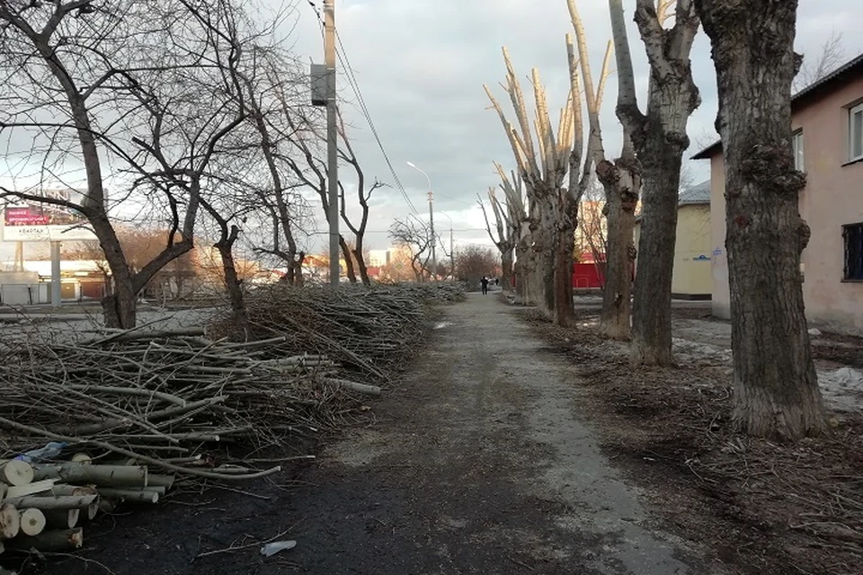 Погода в Югре 30 марта: весеннее тепло. Фото: Савинов Руслан.