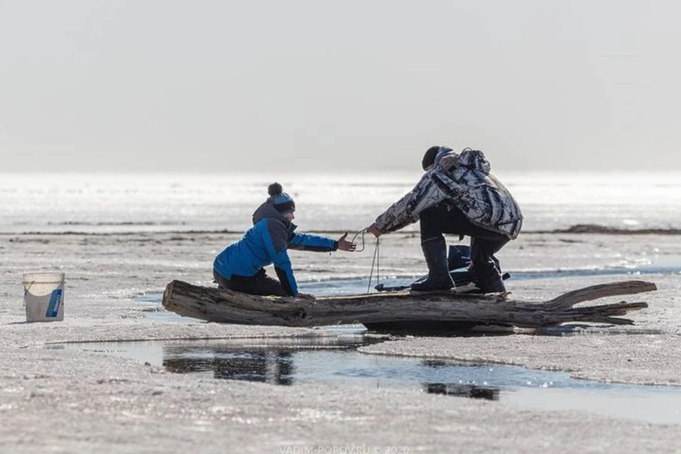 Лед продолжает таять, а рыбаки продолжают рисковать собой