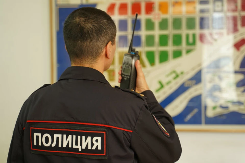 Когда сотрудники полиции потребовали покинуть машину, девушка несколько раз ударила их