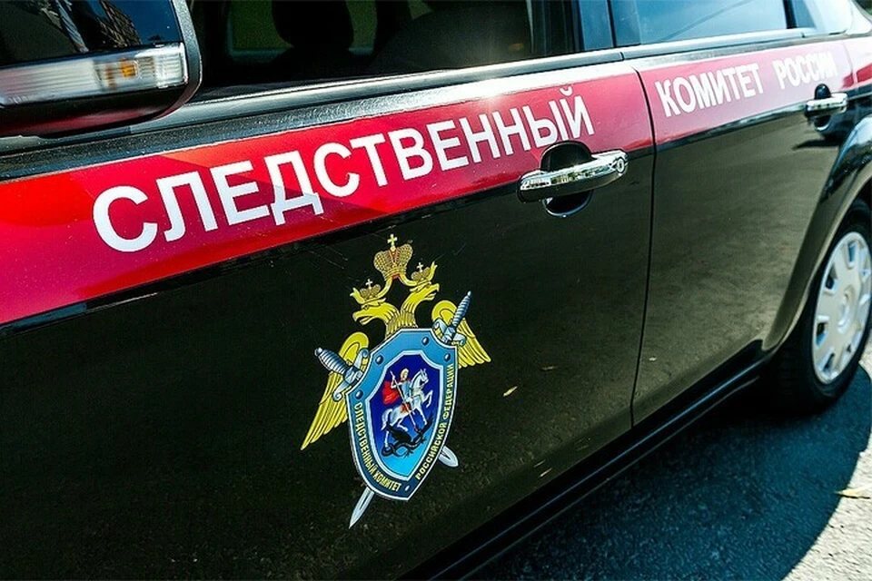 В Усть-Лабинском районе мужчина убил пьяную сожительницу, которая оскорбила его