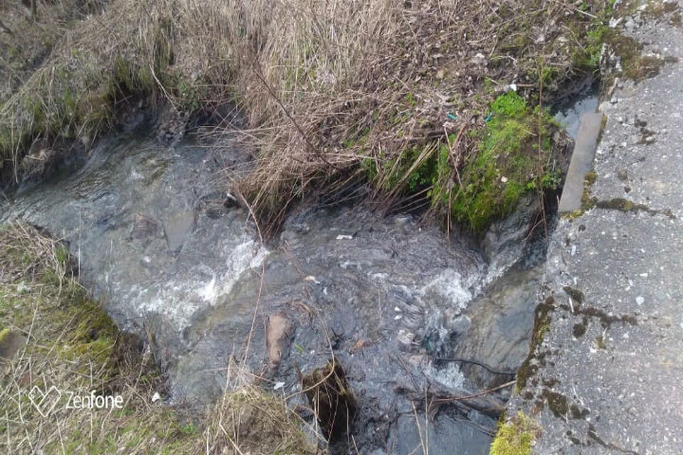 Вода и в водоотводной канаве, и в ручье, и в месте впадения в Волгу нормального цвета