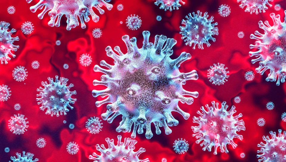 Тесты подтвердили коронавирус еще у 12 тамбовчан