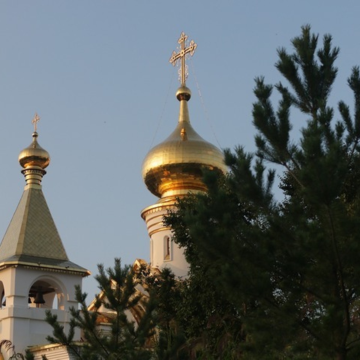 В Хабаровской епархии рассказали о расписании пасхальных богослужений на  Пасху в 2020 году - KP.RU