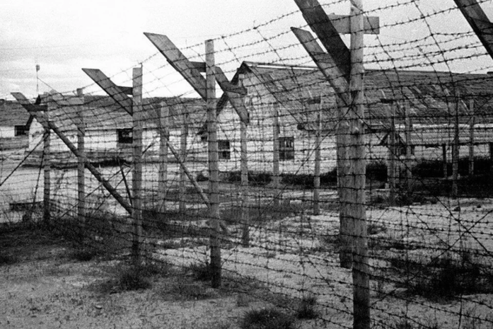 В концлагерях Карелии погибли тысячи людей Фото: СКР
