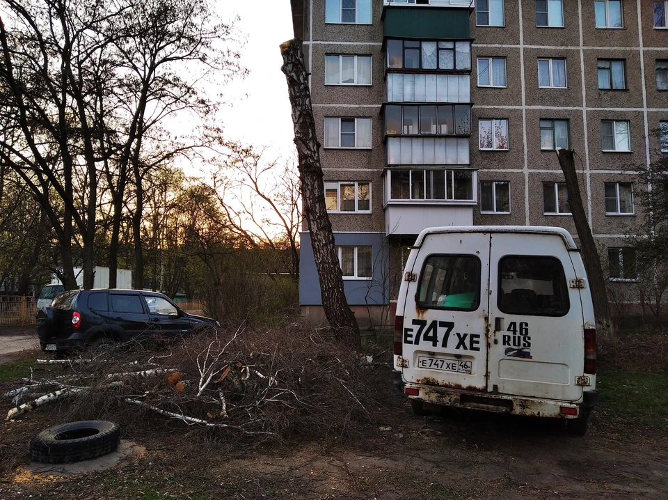 После снятия ограничений по коронавирусу владельцам новых полисов ОСАГО необходимо будет все же пройти техосмотр