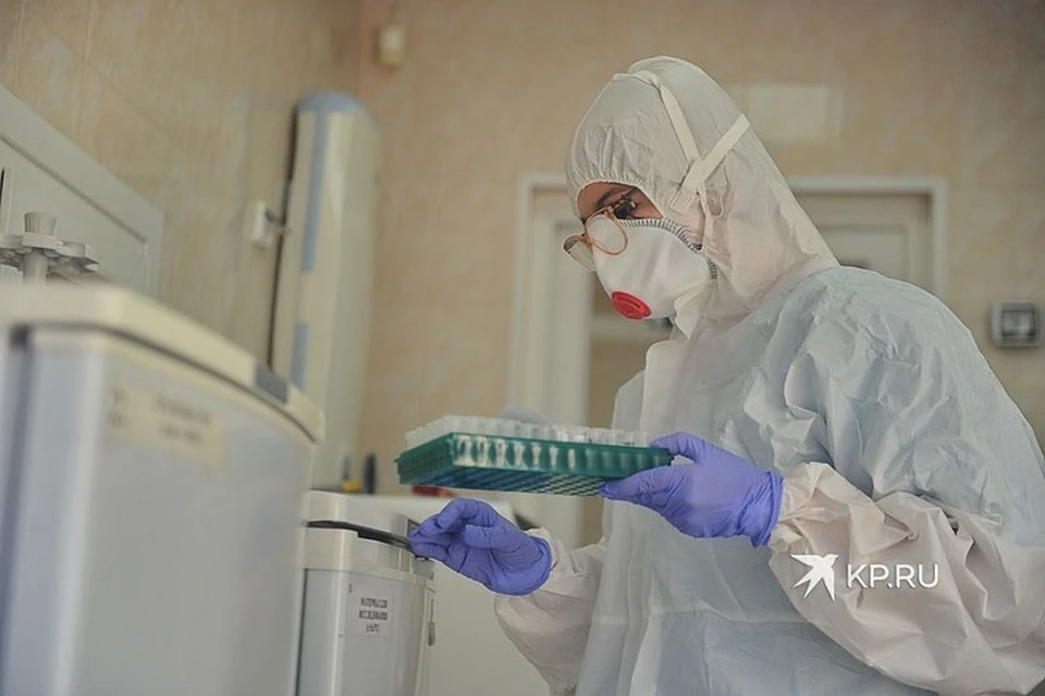 Число сделанных в РФ тестов на коронавирус выросло до 2,4 млн