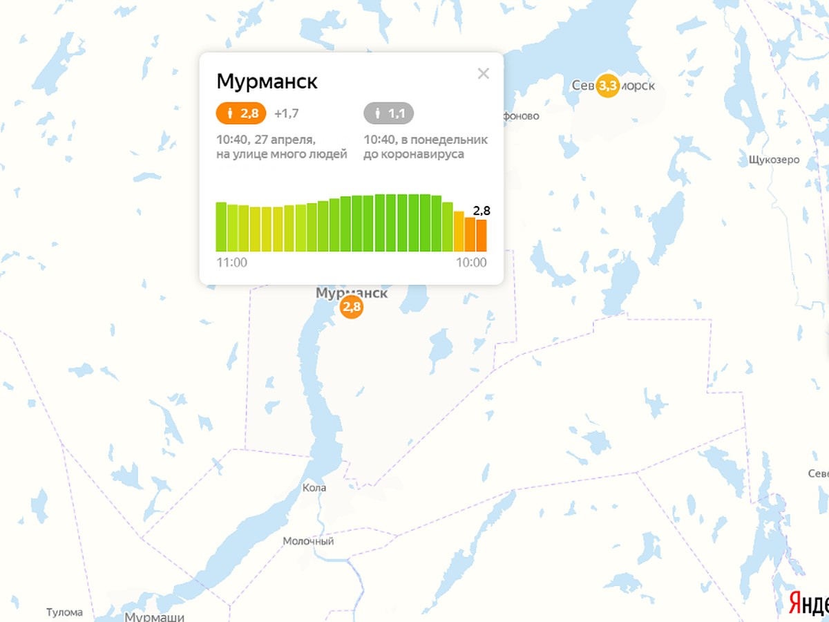 Где в Мурманской области лучше всего соблюдают самоизоляцию - KP.RU