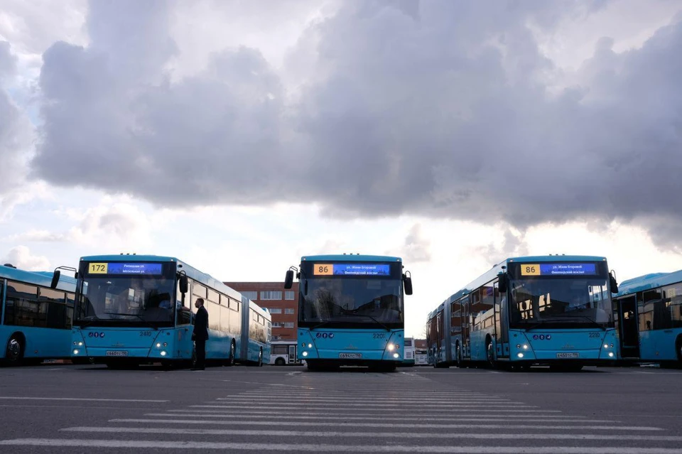 В Петербург пришла первая партия новых автобусов, но транспортной реформы в этом году не будет. Фото: gov.spb.ru