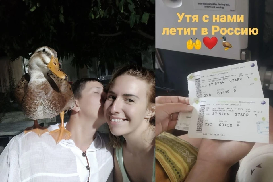 Борю туристы смогли вывезти в Россию, но в аэропортку птицу у хозяев забрали. Фото: личный архив.