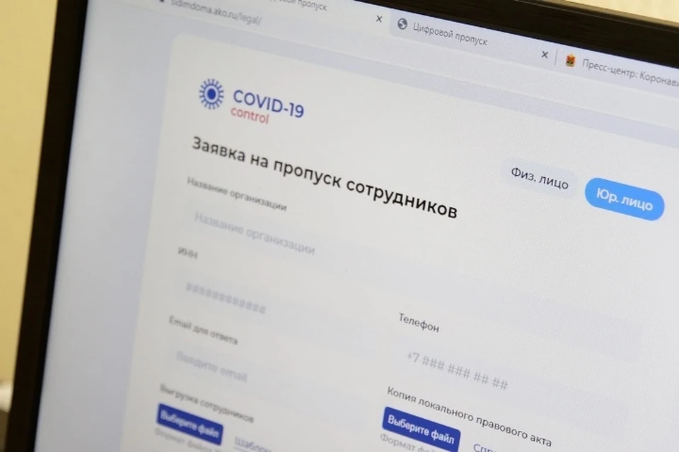 Электронный пропуск в Кузбассе: как получить и кому нужен. ФОТО: пресс-служба АПК