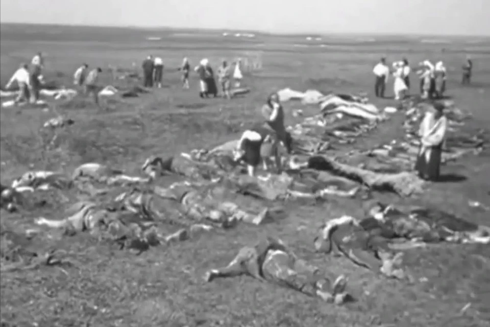 Эксгумация тел погибших в концлагере «Красный». Скриншот видео документальной хроники