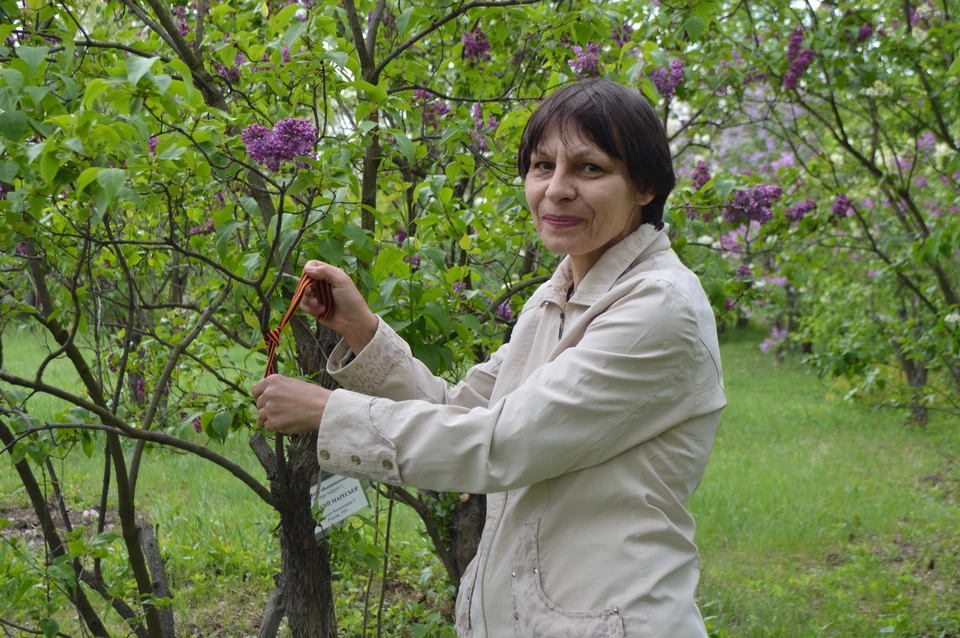 В Донецком ботаническом саду проходит акция «Сирень Победы»